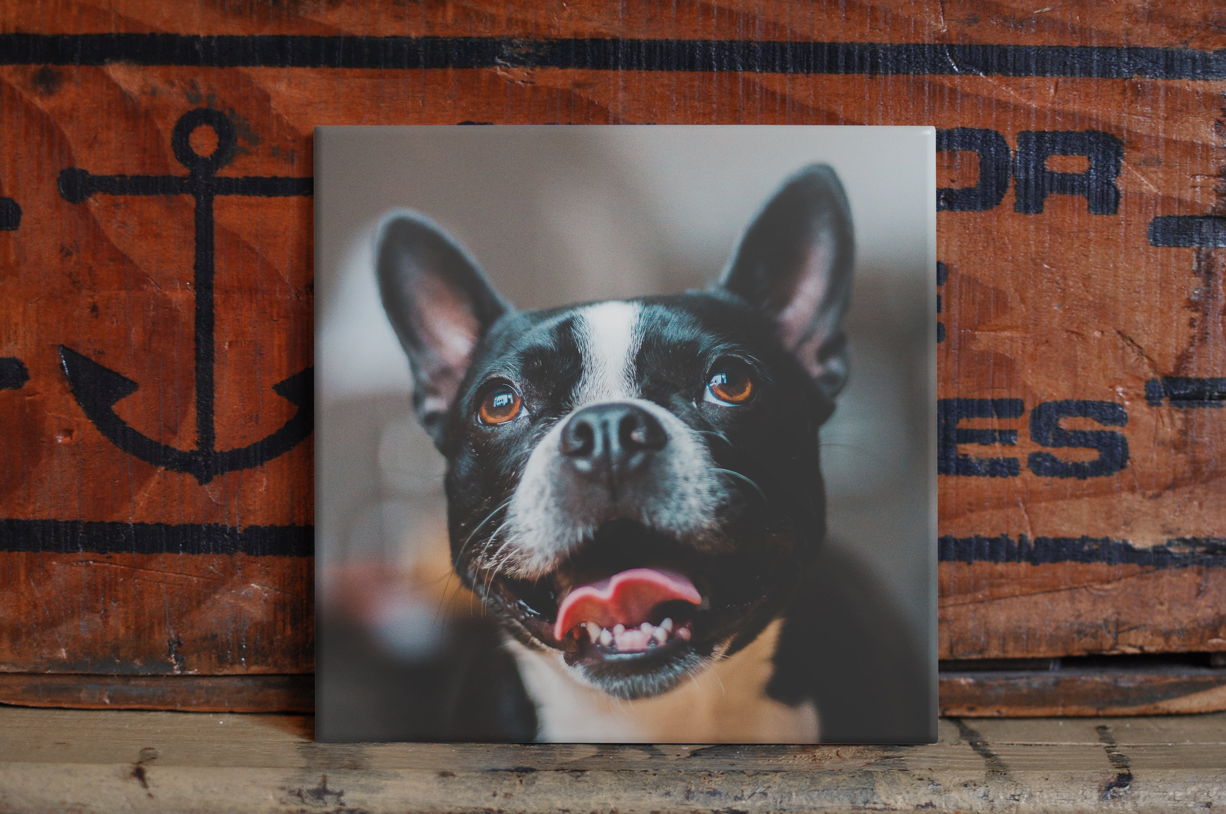 Custom Pet Photo Gifts | Pet Portrait From Photo | Custom Dog Cat Pet Portrait | Pet Memorial | Gift For Her Him Dad Mom | Personalized Gift