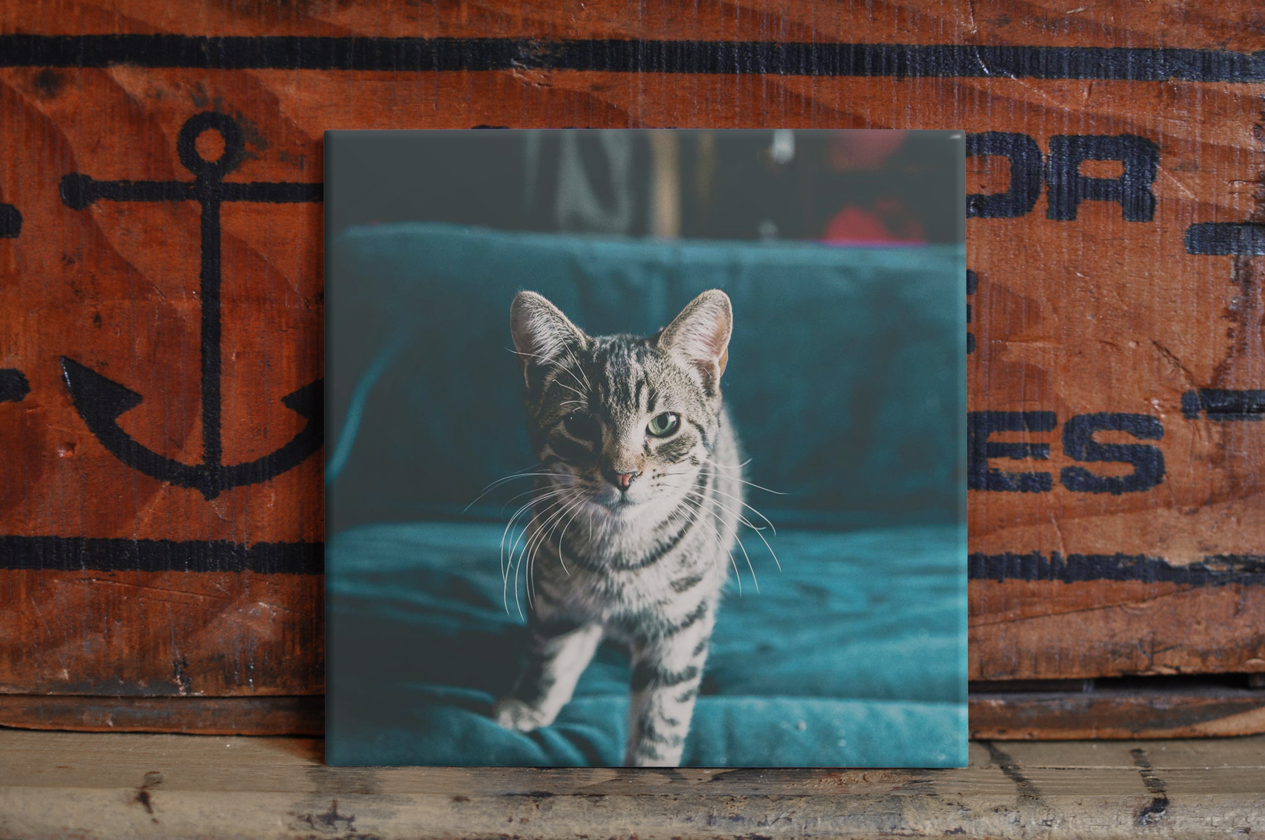 Custom Pet Photo Gifts | Pet Portrait From Photo | Custom Dog Cat Pet Portrait | Pet Memorial | Gift For Her Him Dad Mom | Personalized Gift